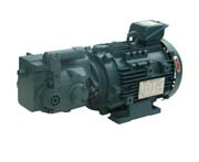 150T-125-FR Taiwan KOMPASS 50T Series Vane Pump