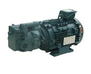 HBPG-KC4-TPC2-*R-A TOYOOKI HBPG Gear pump
